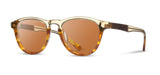 Francis Sunglasses | Acetate