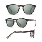 Francis Sunglasses | Acetate