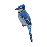 Bird Collective Blue Jay Patch