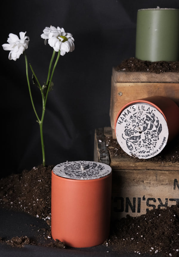 Top and side view of candle amongst soil and flowers