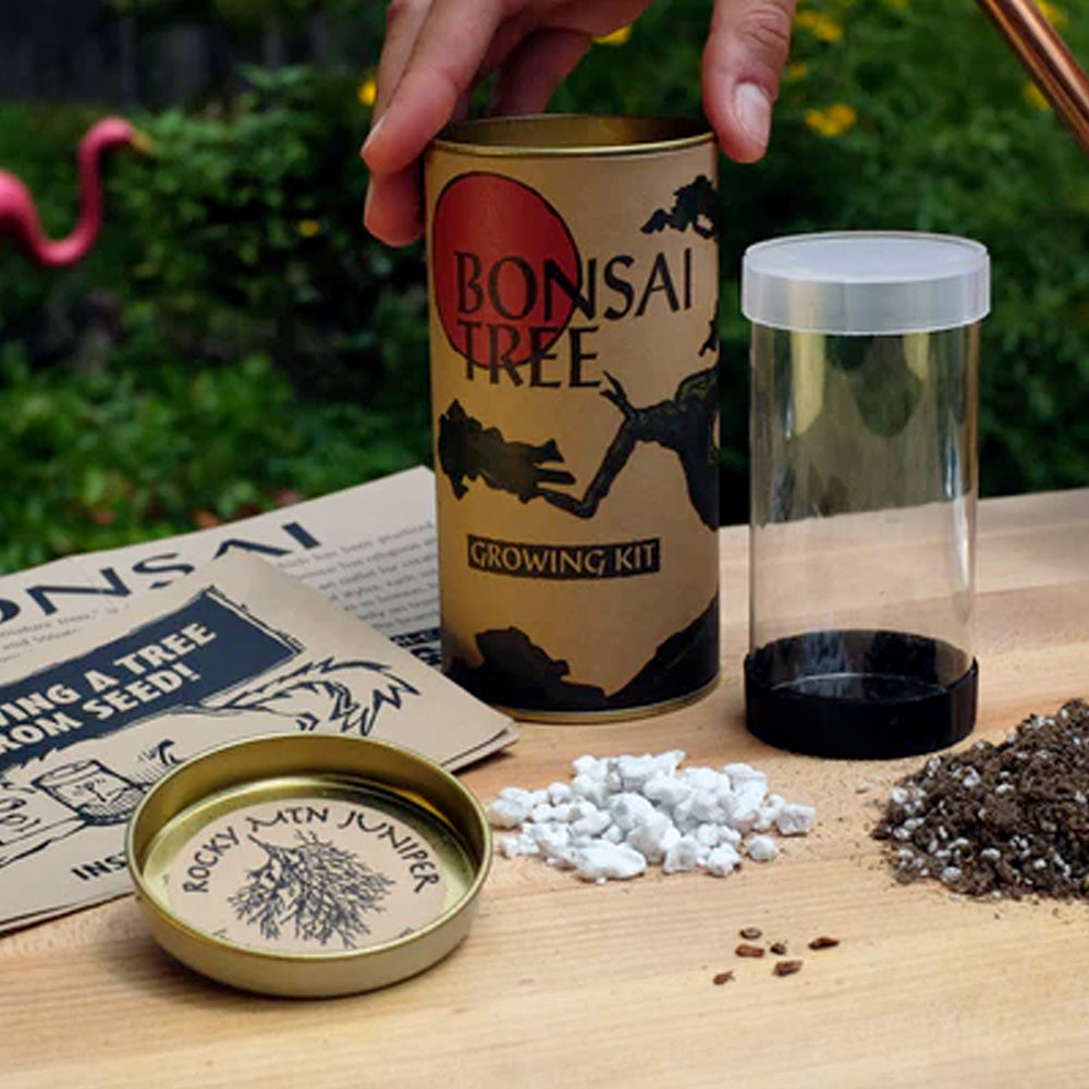 Bonsai Tree Grow Kit