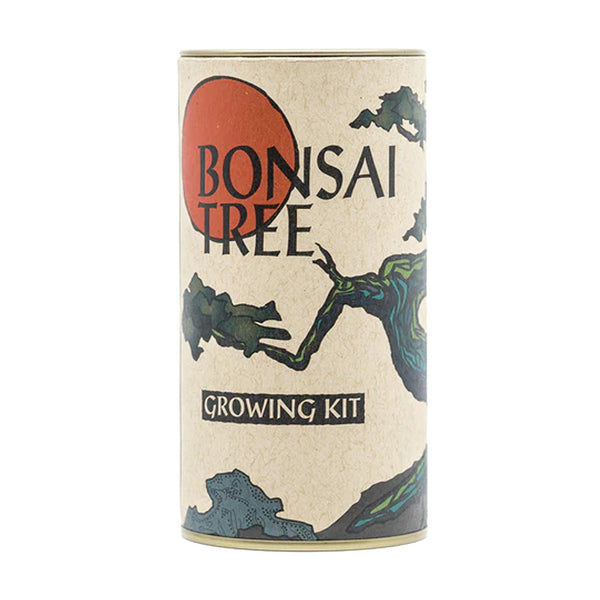 bonsai tree gift kit The Jonsteen Company Bonsai Tree Grow Kit