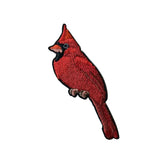 Bird Collective Northern Cardinal Patch
