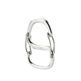Stainless steel carabiner on white background