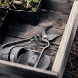 Pruner Open in Box