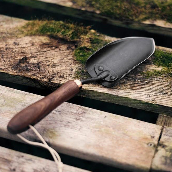 Trowel on Wood