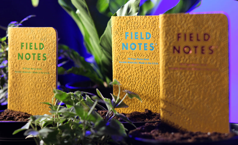Three Field Notes Notebooks in Garden