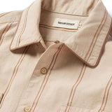 Up Close of Collar