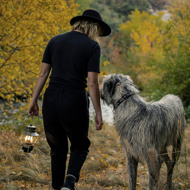 Lantern Being Used by Model
