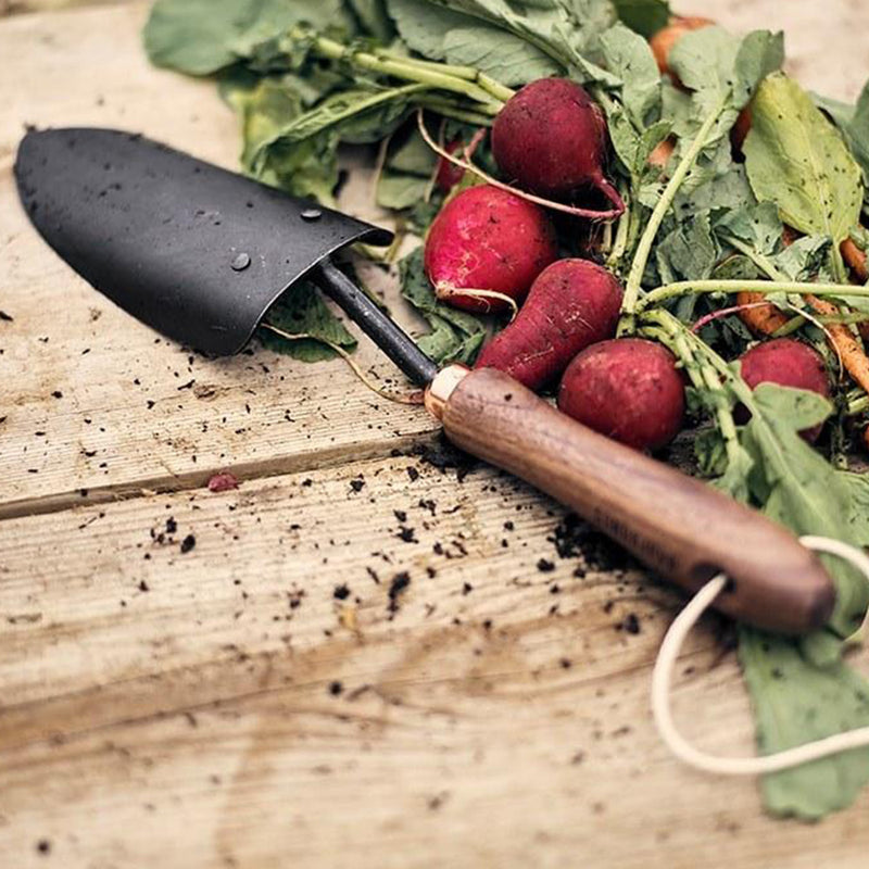 Trowel with Radishes
