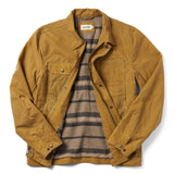 Lining of Jacket